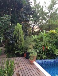 Ming Park (D20), Semi-Detached #511262641